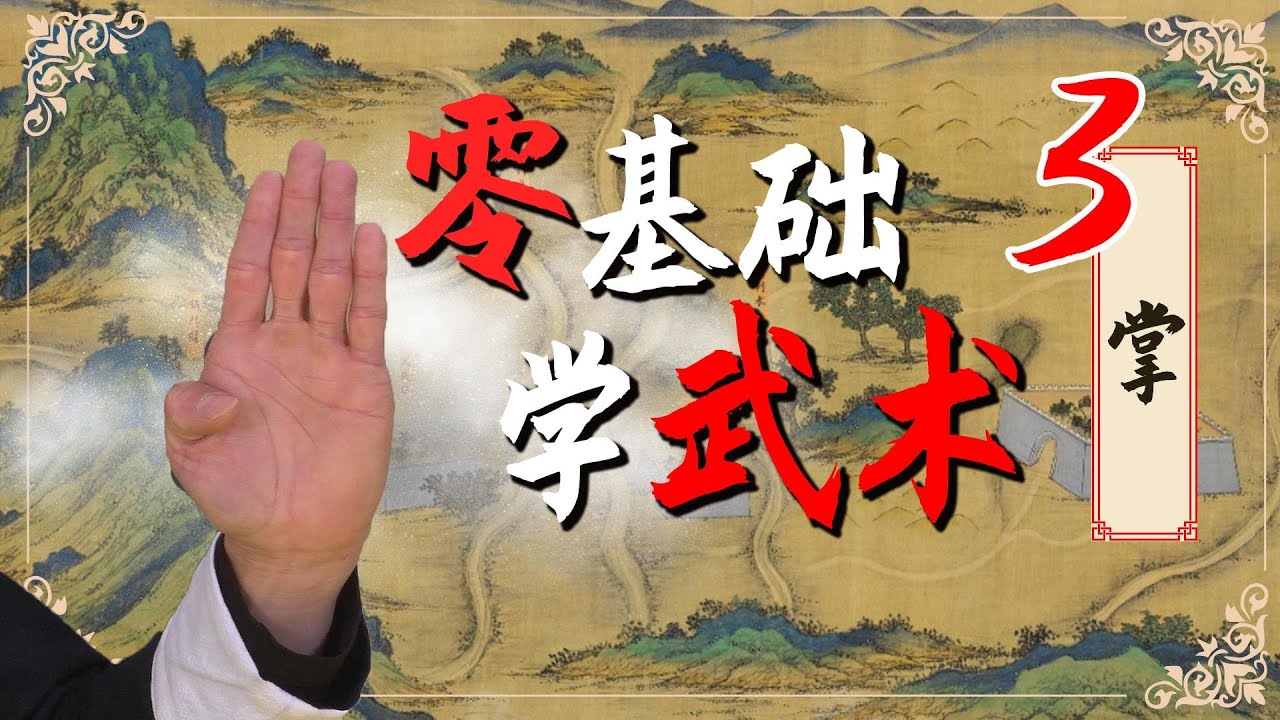零基础学武术3：掌 Learn martial arts from scratch 3：palm