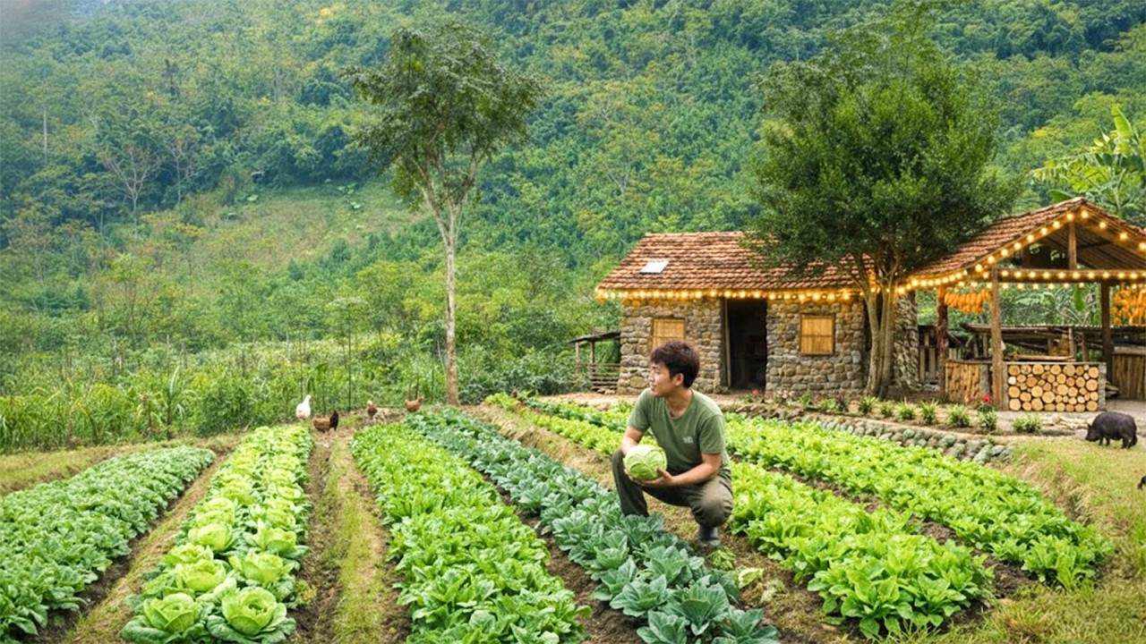 Harvesting Wild Vegetables To Replant At An Abandoned House In The Forest — Self-Sufficient Life