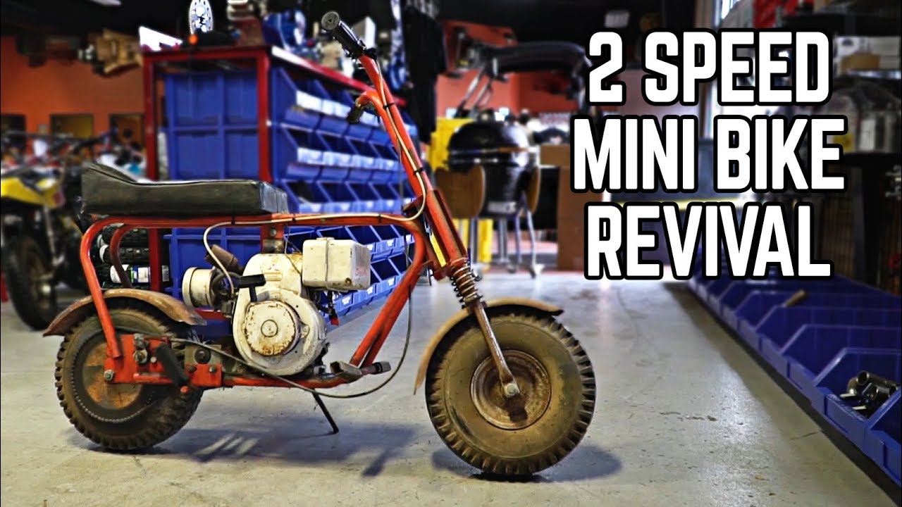 2 Speed Mini Bike Revival + 500cc 2 Stroke Race Karts!