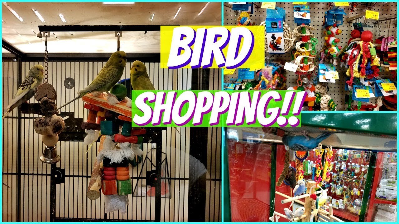 Shop With ME PETSMART PARAKEETS BIRD TOYS 2018