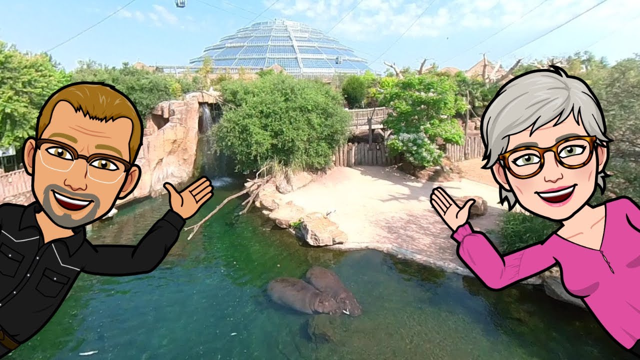 Le Zoo de Beauval Jour 1 France 2023 . 🤟😉 Deutscher Untertitel 👍 🇪🇸