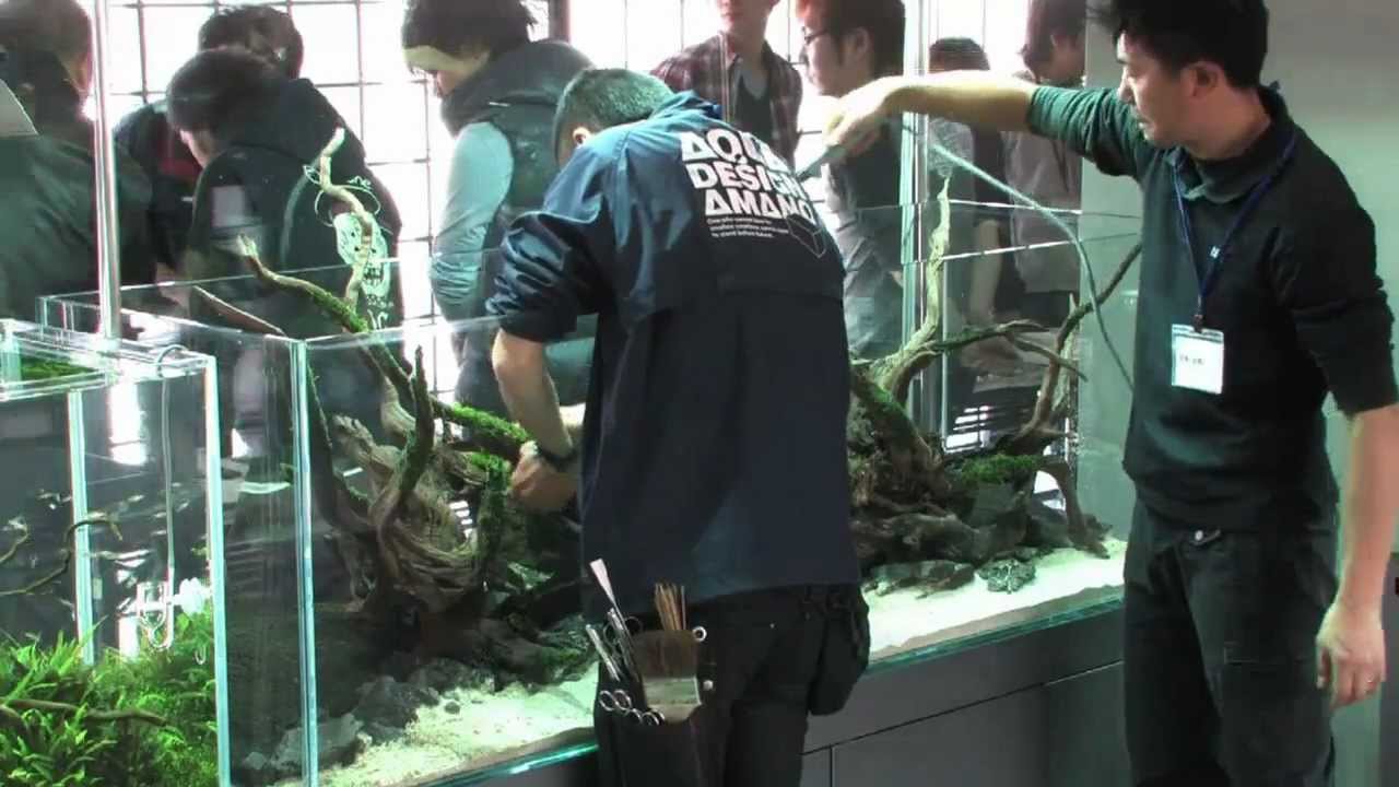 ADA影像特辑2 2012年2月21日 天野尚水草造景讲座 180cm No.6 水景制作过程