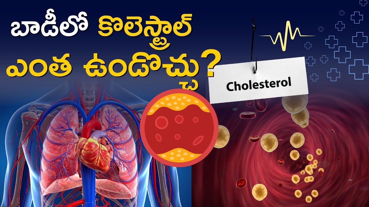 What Is The Right Cholesterol Range | How Much Is Healthy The Limits Must You Know