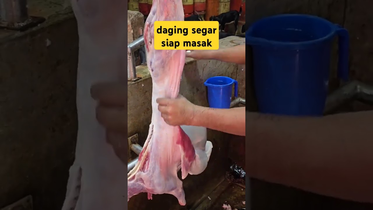 Daging Kambing Semantap Ini Enaknya Dimasak Apa?