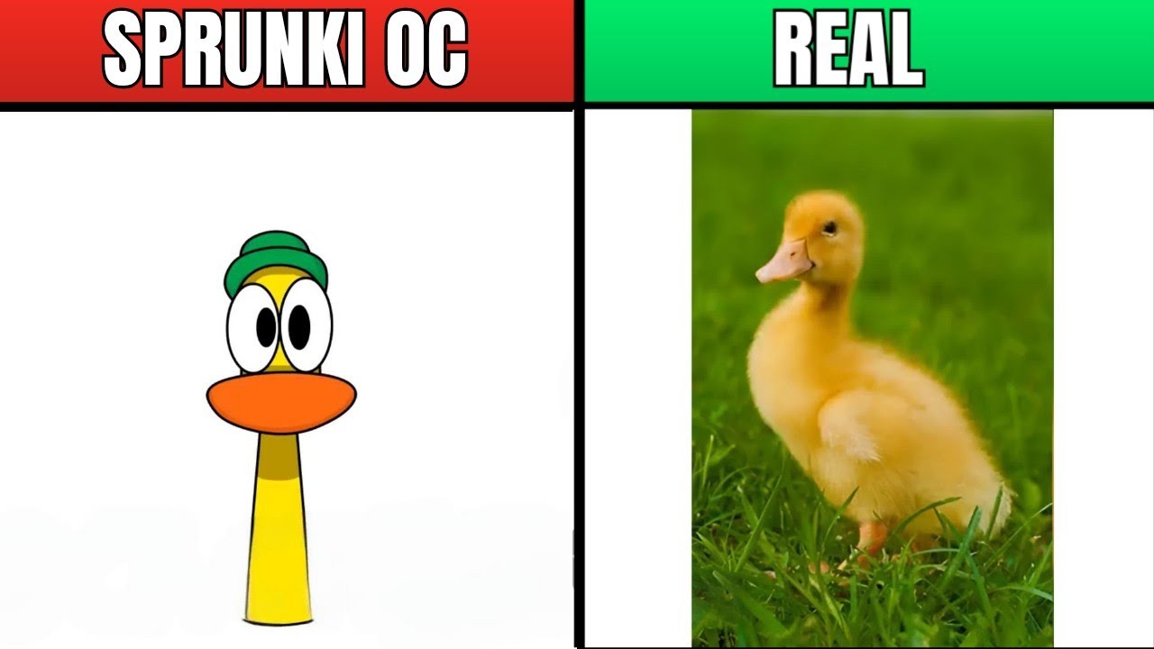 My Sprunki OC: Pato (from Pocoyo) in REAL LIFE