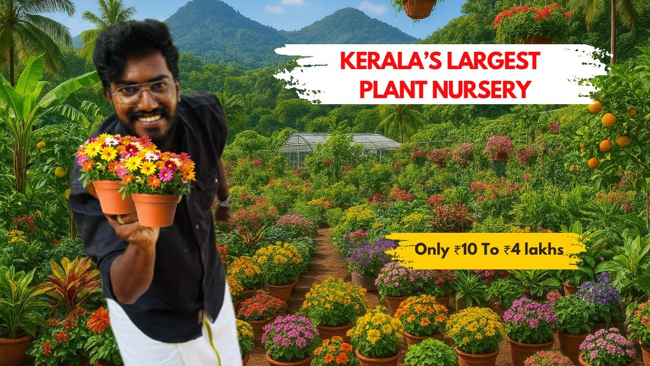 From ₹10 to ₹4 Lakh 💰 | Kerala’s Largest 🌸 Plant Nursery 🌳 | Agrotill #farming 