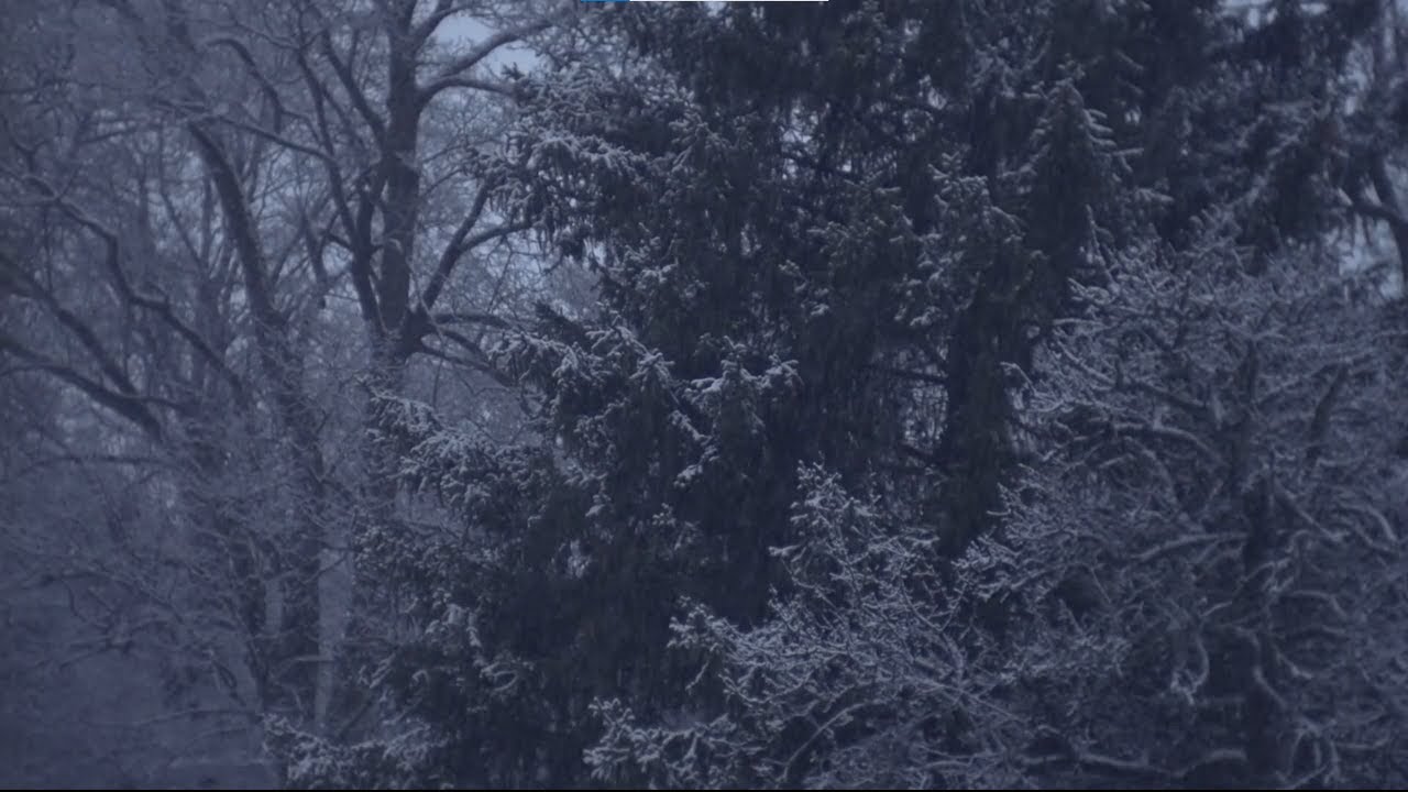 3 Hour Blizzard Sounds | Black Screen | Relaxing Blizzard Sounds