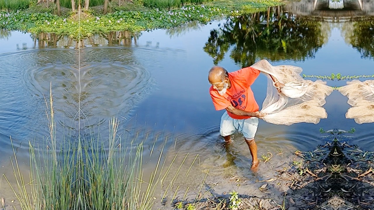 Amazing Village Net Fishing Video - Best Net Fishing Video - Village Fishing Video