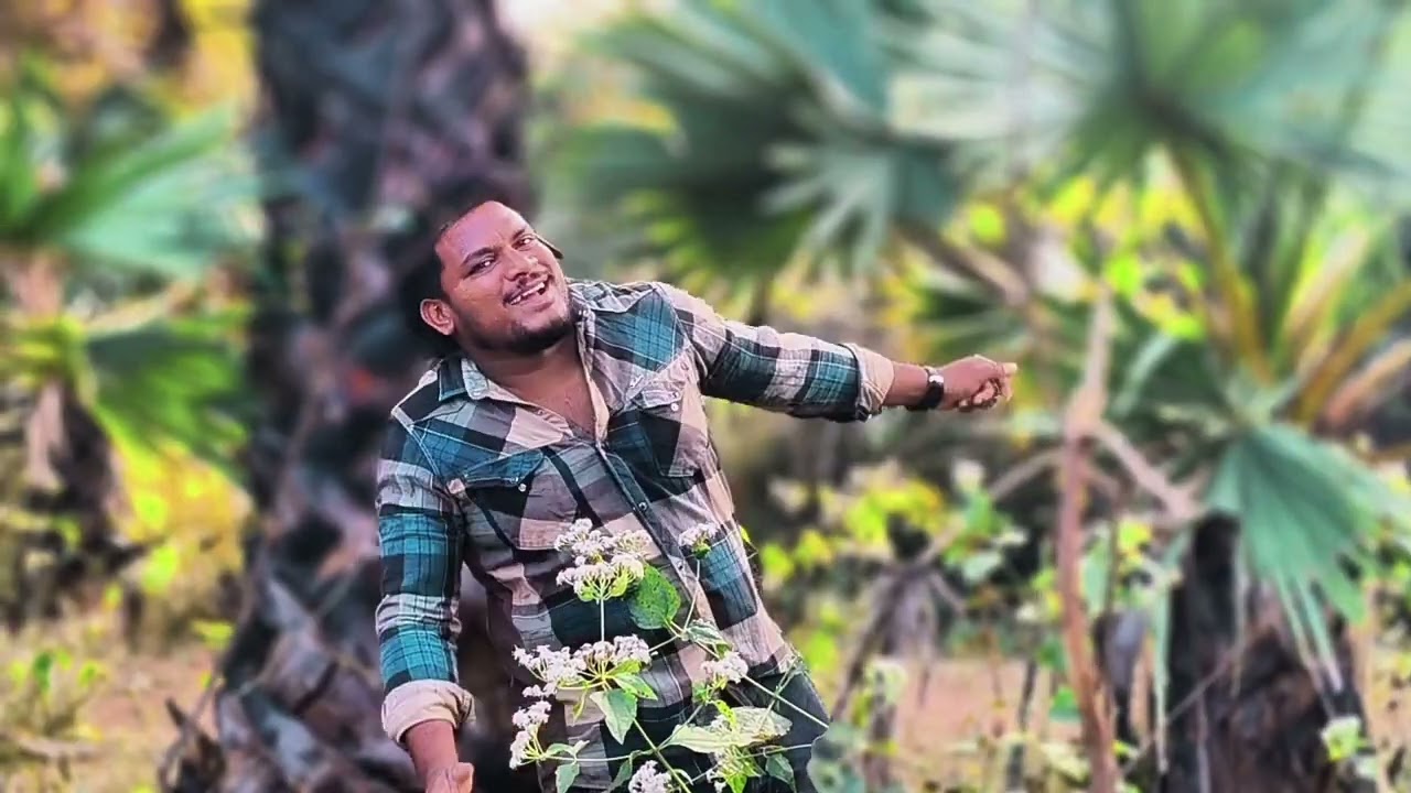 Chikri chikri telugu song