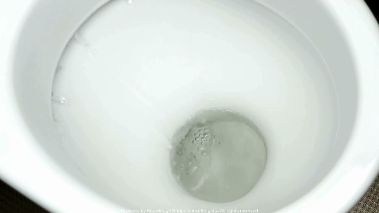 Step-by-Step Toilet Training for Children: A Repetitive Instructional Guide