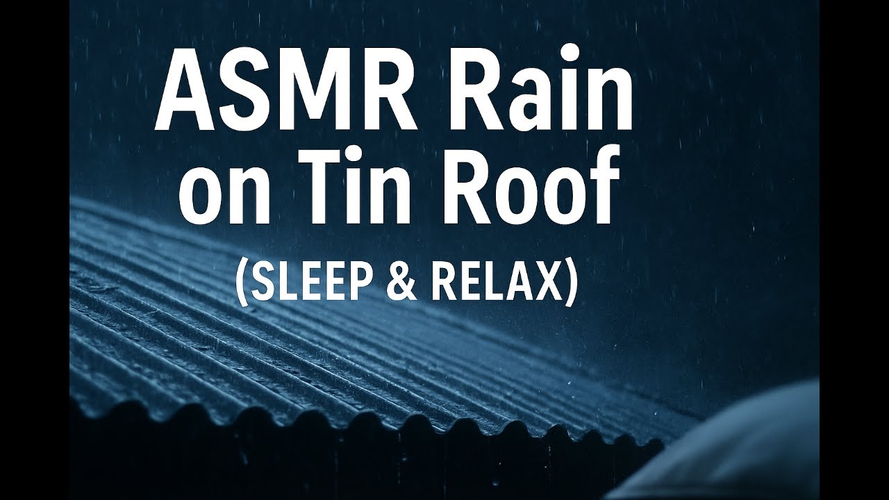 LIVE Heavy Rain on Tin Roof 🌧️ | Deep Sleep Sounds • NO TALKING