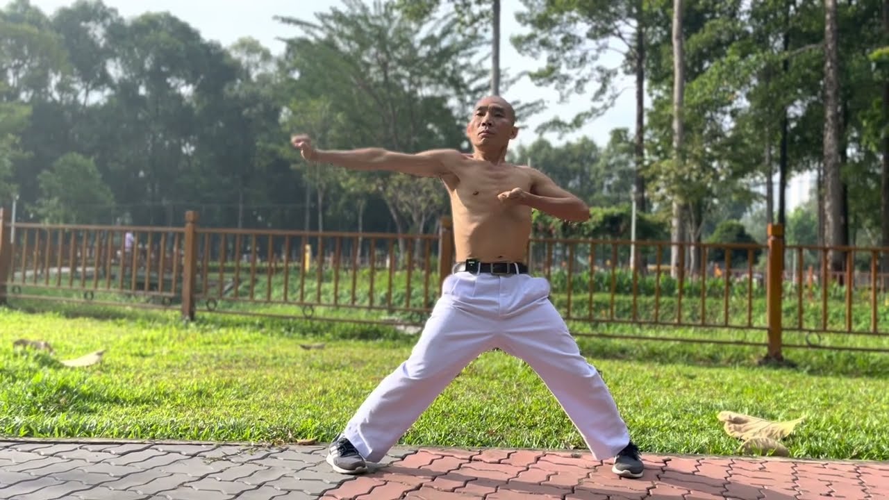 KUNG FU ĐƠN NỘI CÔNG 2, 3, 4 - BỘ NỘI CÔNG SỐ 1