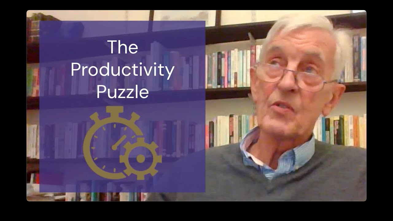 The Productivity Puzzle – John Seddon