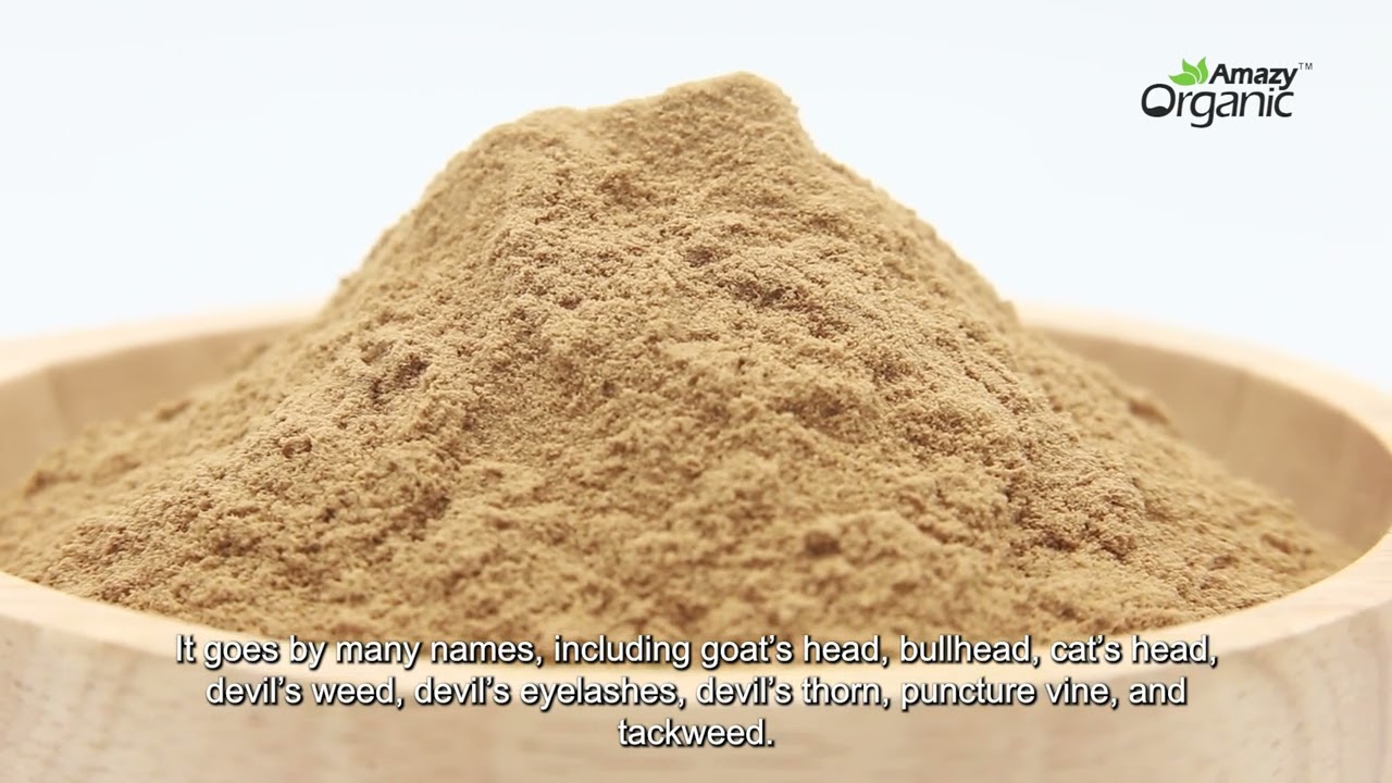 What is Tribulus Terrestris Extract?
