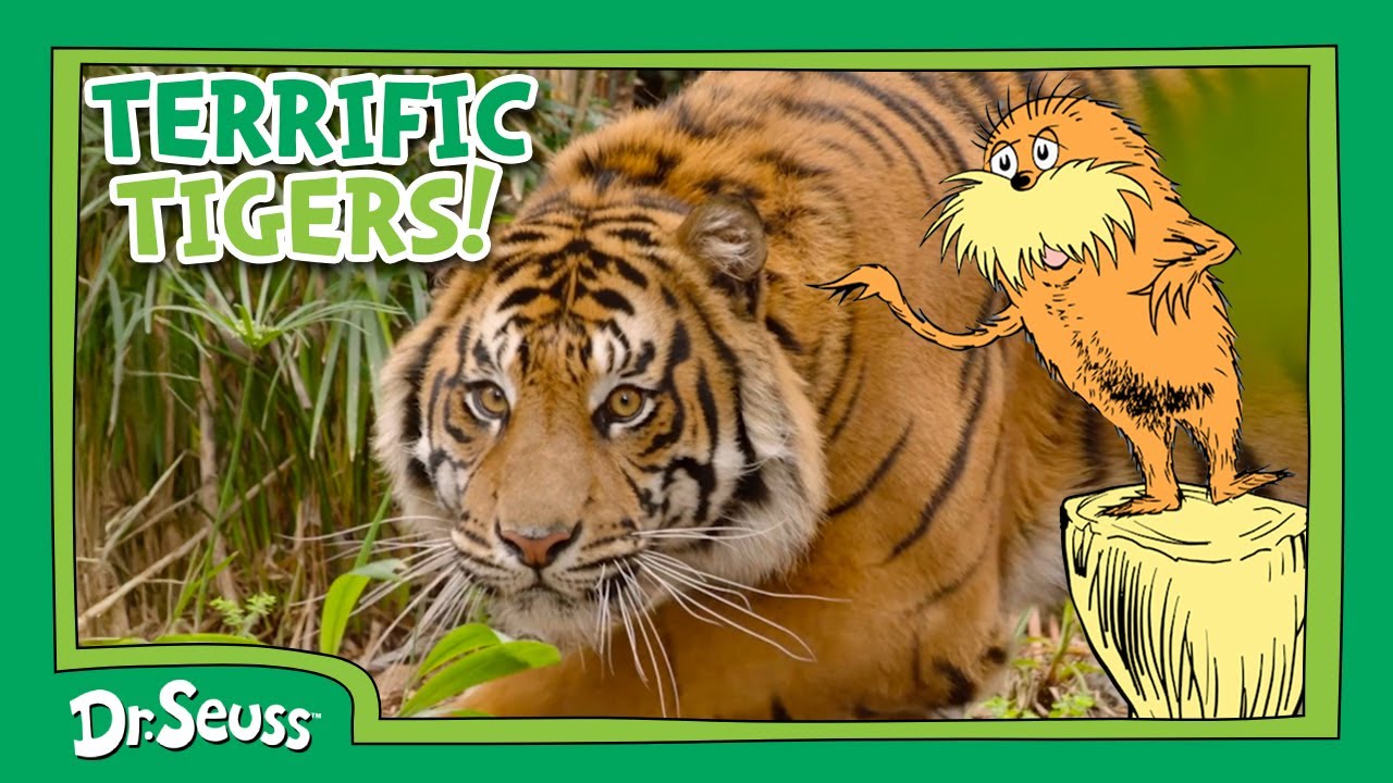 Full Episode: Terrific Tigers | The Coolest Cats! | The Lorax Nature Keepers Club | Dr. Seuss