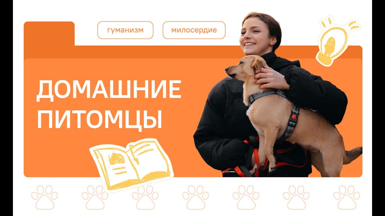 РАЗГОВОРЫ О ВАЖНОМ 1.12.25 ДОМАШНИЕ ПИТОМЦЫ