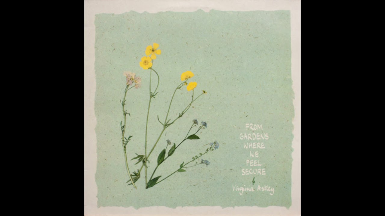 Virginia Astley - Summer of Their Dreams
