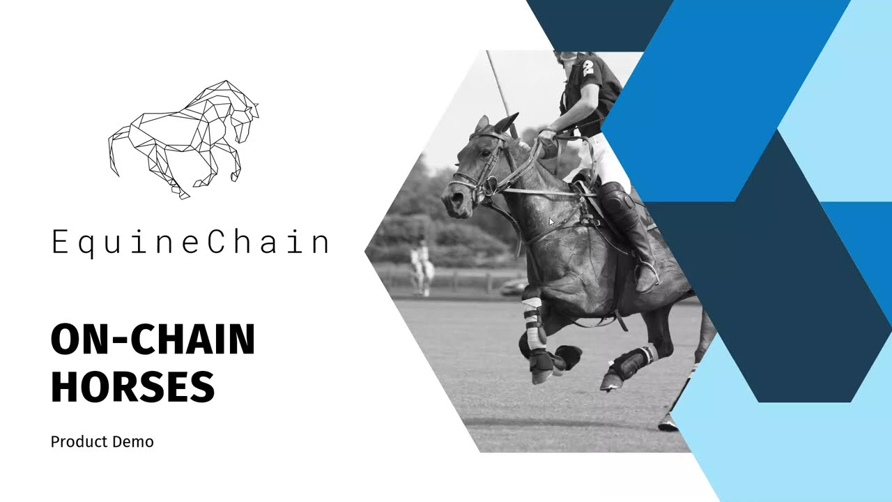 EquineChain Smart Contract & NFT Minter Demo