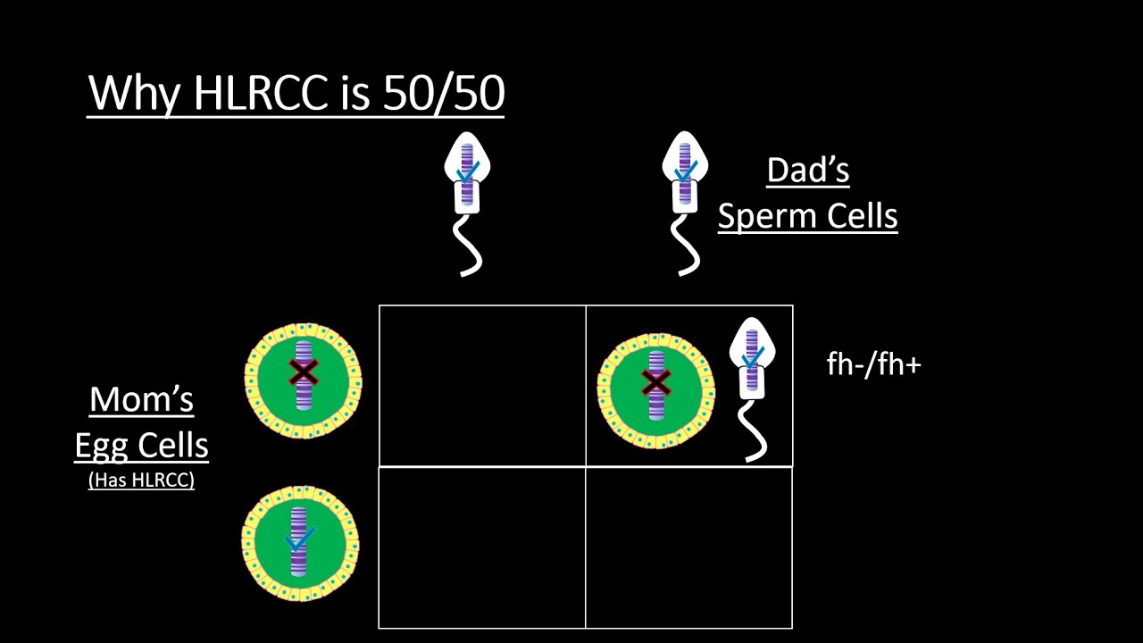 Why There is a 50/50 Chance of Inheriting HLRCC