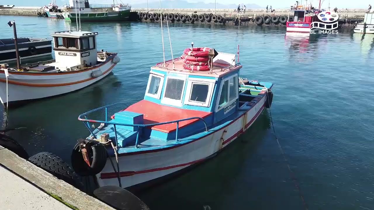 Explore The Secret Treasures Of Kalk Bay Harbor In Cape Town, South Africa 🏖️