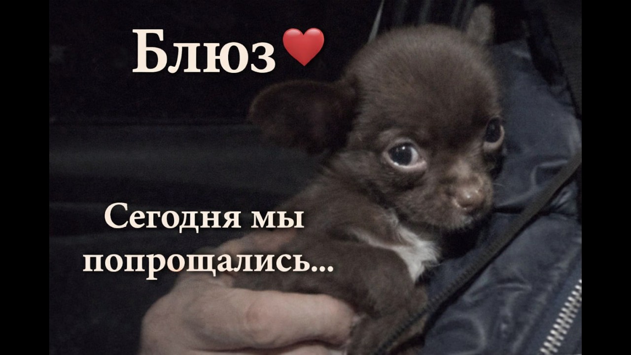 Вечерний стрим, отвечаем на ваши вопросы, делимся новостями 7.03.2026