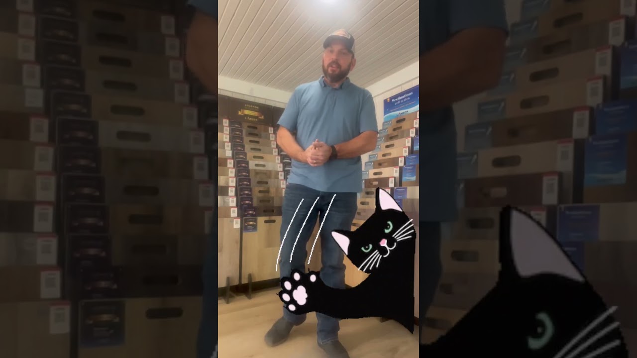 SPC vs Laminates Flooring