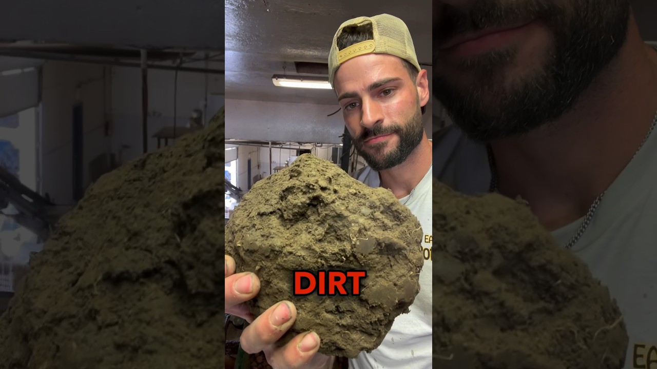 Quitting Potato farming to farm dirt
