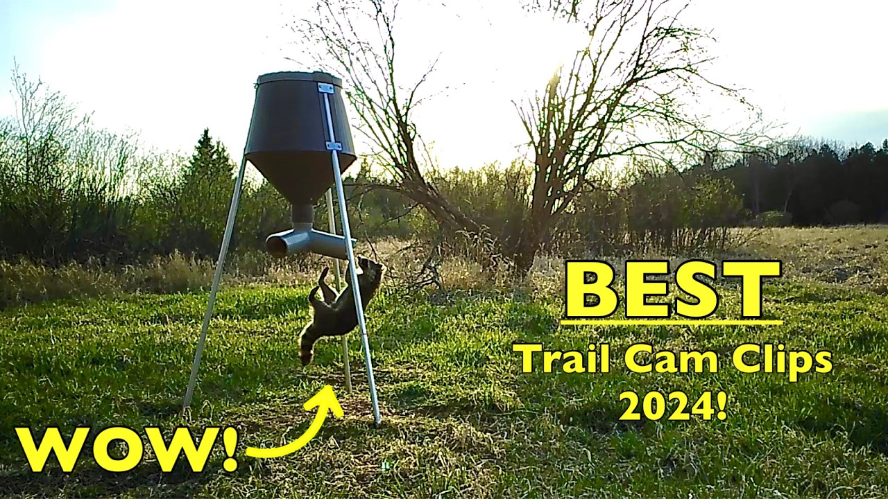 THE BEST Trail Cam Videos of the Year! (2024) | The Outdoor Theater