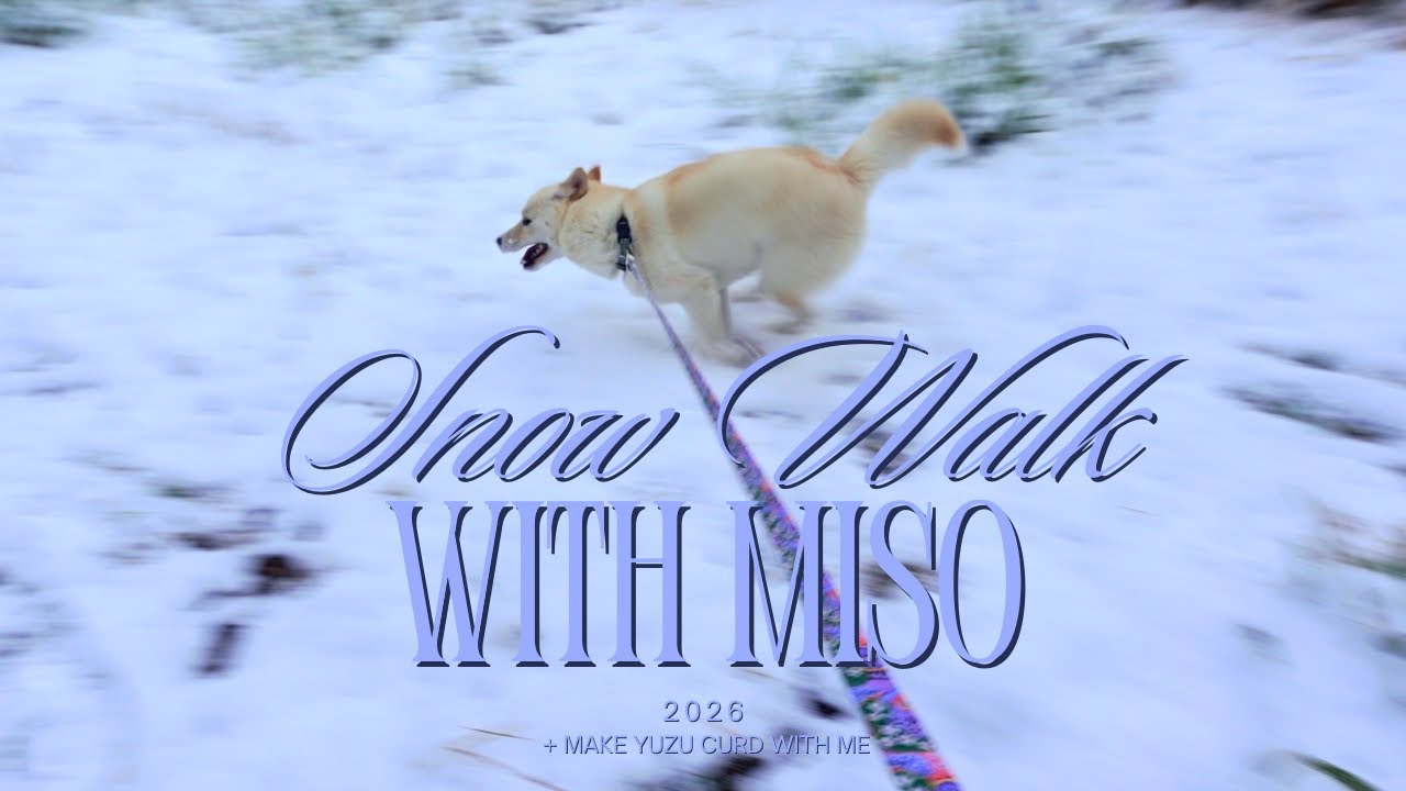 miso&me ep8- Miso in the snow & making yuzu curd