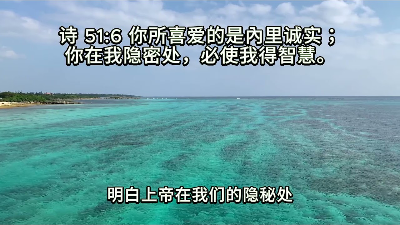 499心灵快餐-智慧(三十四)使我得智慧  简体字幕
