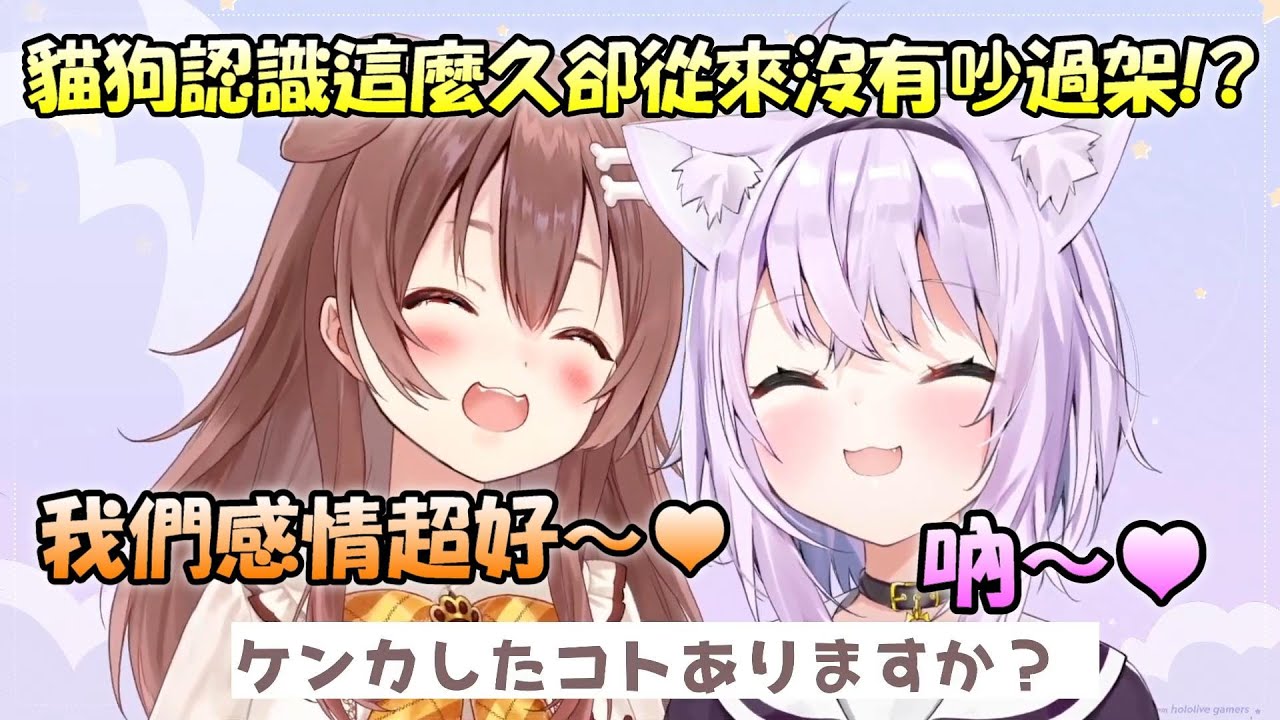 【戌神沁音 x 貓又小粥】關於貓狗認識這麼久從來沒有吵過架那件事...下一秒就吵起來了ww【Hololive/ホロライブ】【vtuber中文字幕】