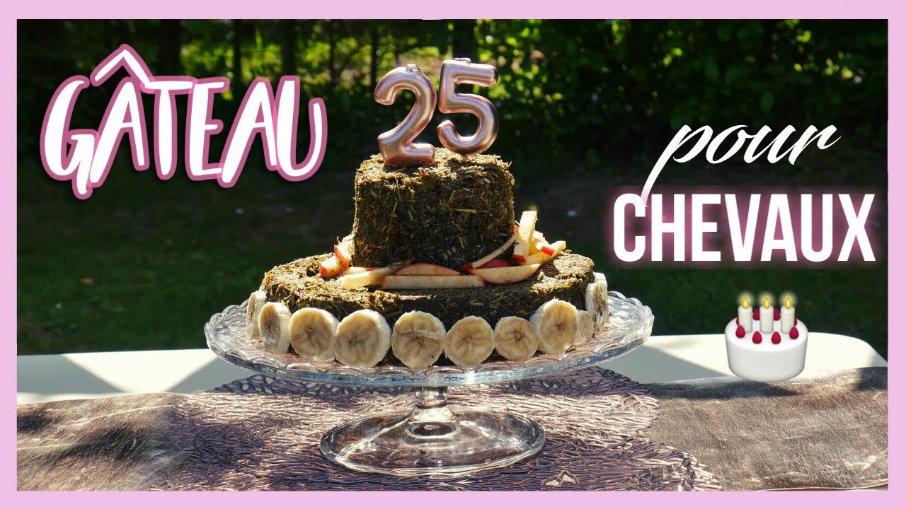 Gâteau d'anniversaire pour CHEVAUX - Tic 25 ans 🎂🥳