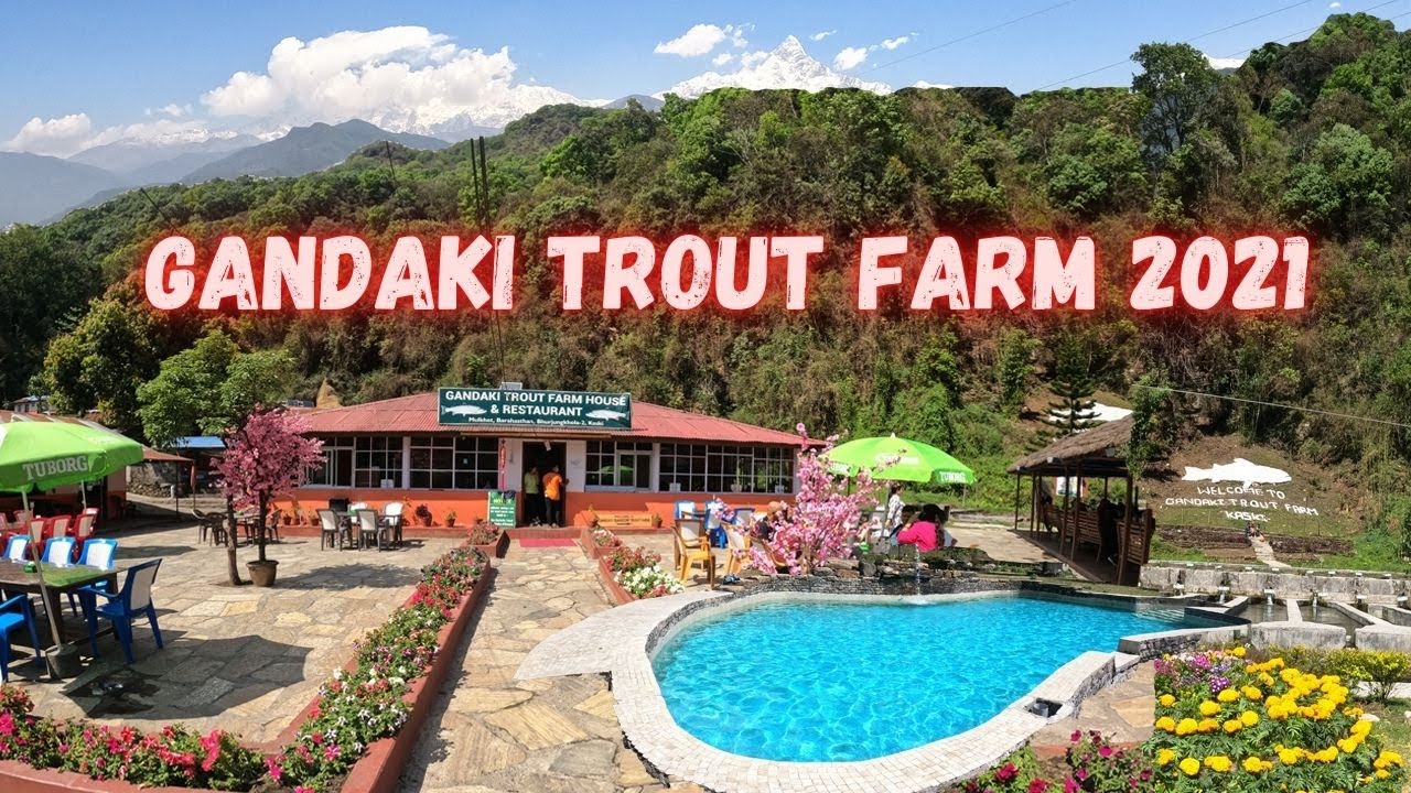 Gandaki  Trout Farm  Pokhara | Sardi_Khola_Bhujung_khola | Kaski Pokhara