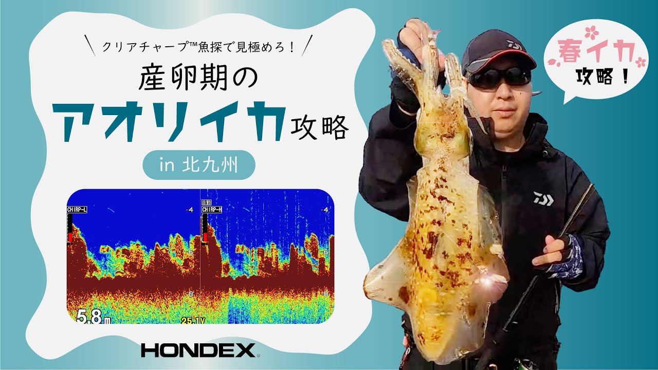 ホンデックス　春のアオリイカ釣り！クリアチャープ™魚探で海底を見極めろ！産卵期のアオリイカ攻略　in 北九州