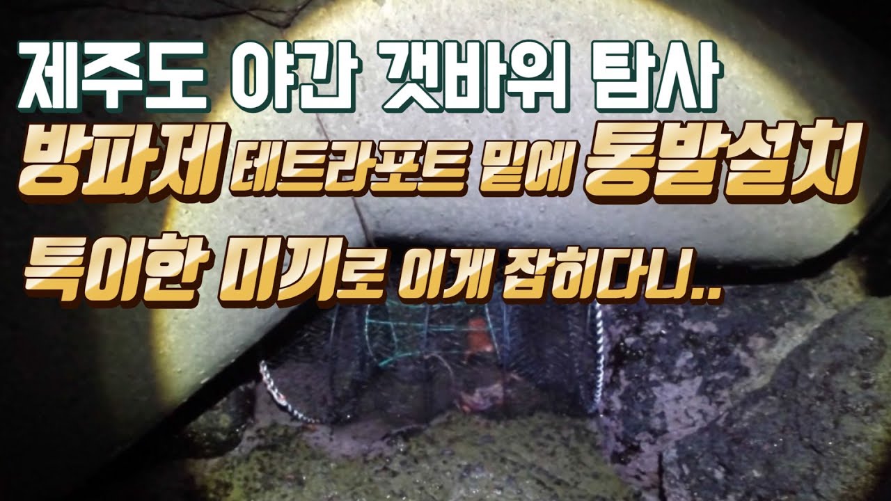 제주도 야간 갯바위 해루질 탐사 및 방파제 밑 통발! 특이한 미끼에 이게 잡히다니 (바다뱀도?....ㄷㄷ) a fish trap