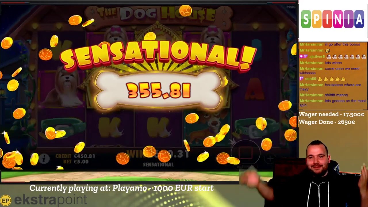 Nice win on Dog House Slot Game at Playamo Casino | EkstraPoint