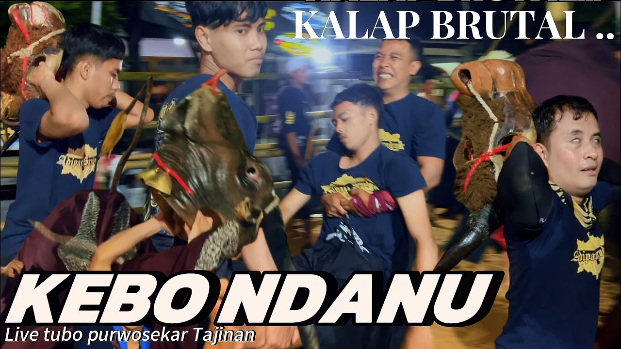 KALAP KERASUKAN DEMIT KEBO NDANU Adipati sruduk live tubo purwosekar Tajinan 