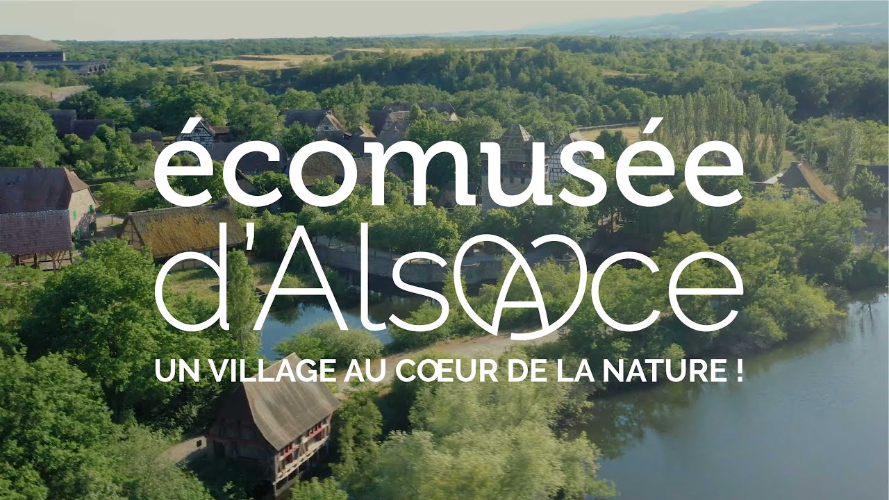 L'&Eacute;comus&eacute;e d'Alsace, un village au c&oelig;ur de la nature !