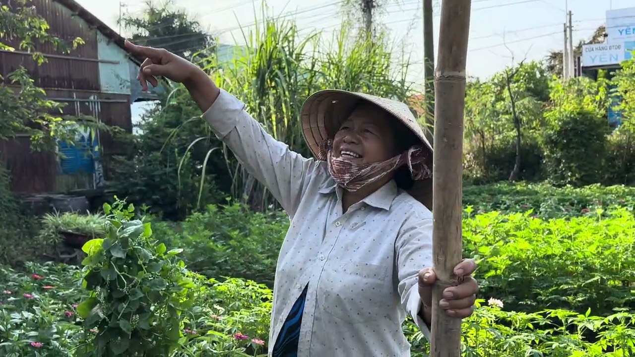 Xuyến Qua thăm vườn của Mẹ 