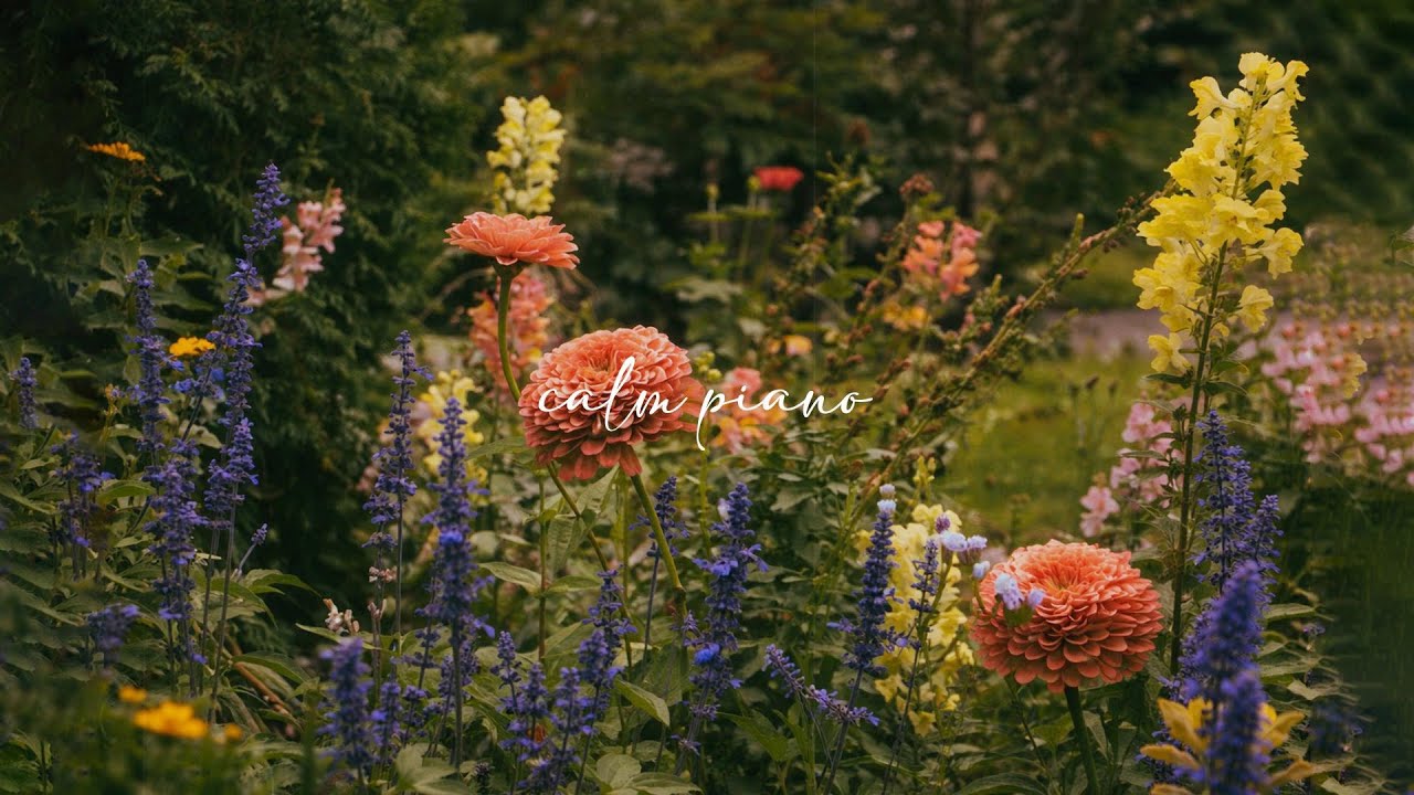 𝒂 𝒄𝒂𝒍𝒎 𝒑𝒍𝒂𝒚𝒍𝒊𝒔𝒕 𝒇𝒐𝒓 𝒓𝒆𝒂𝒅𝒊𝒏𝒈 🌸