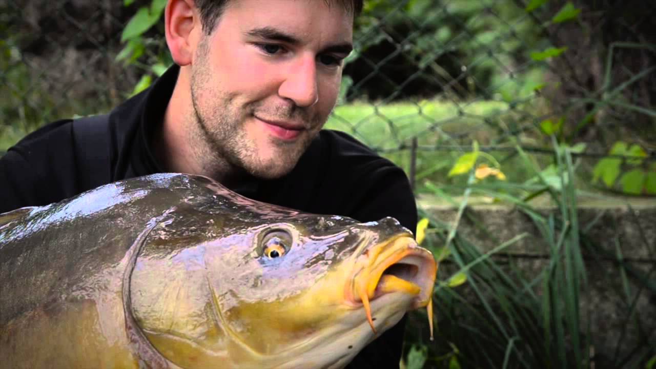 Metropolis Carp Teaser (Carpzilla TV-Version)