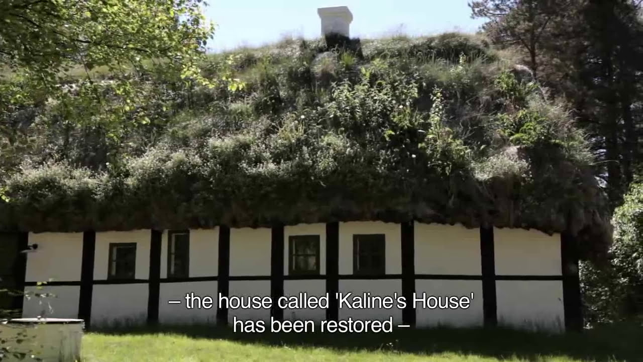 The Modern Seaweed House