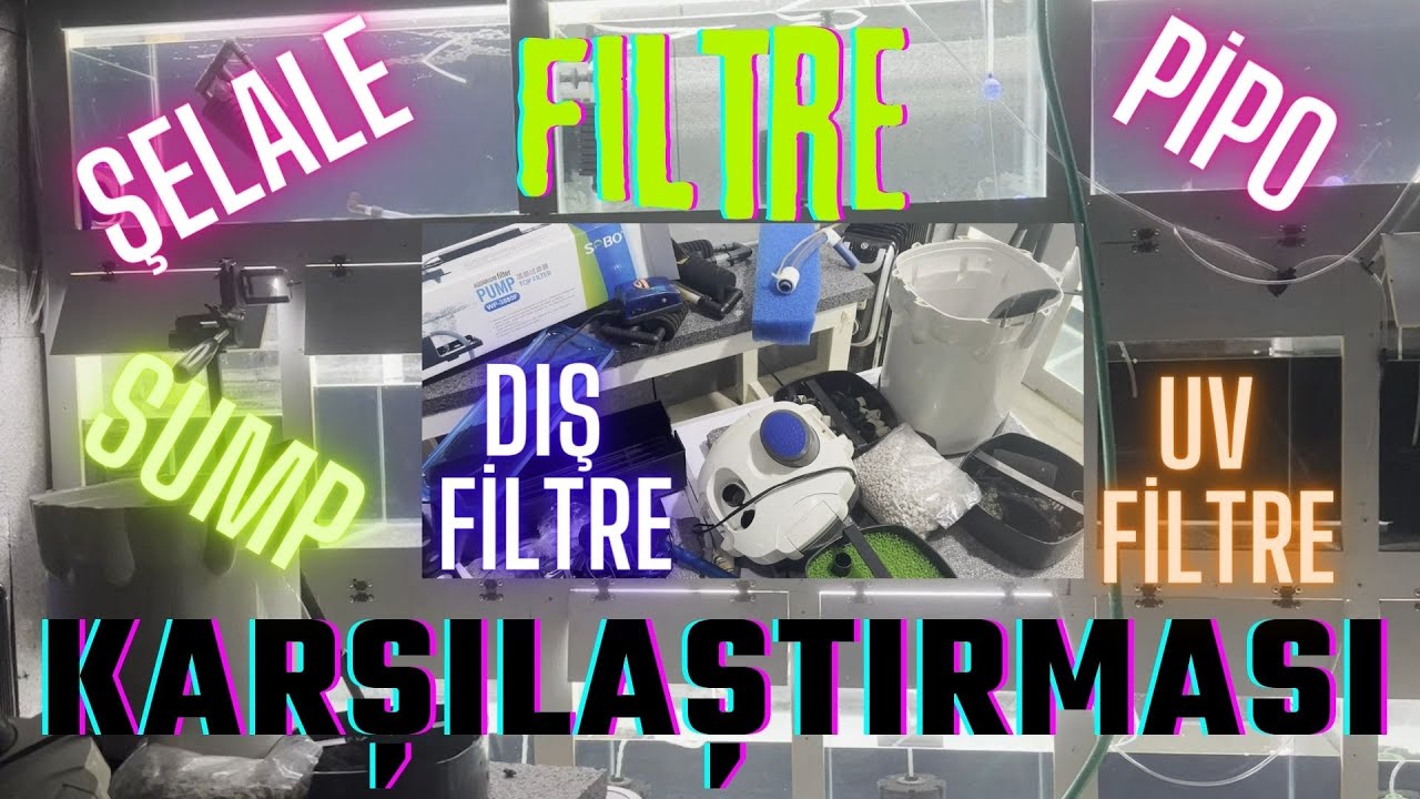 AKVARYUM FİLTRE KARŞILAŞTIRMASI - ŞELALE FİLTRE - DIŞ FİLTRE- PİPO #lepistes #akvaryumbalıkları