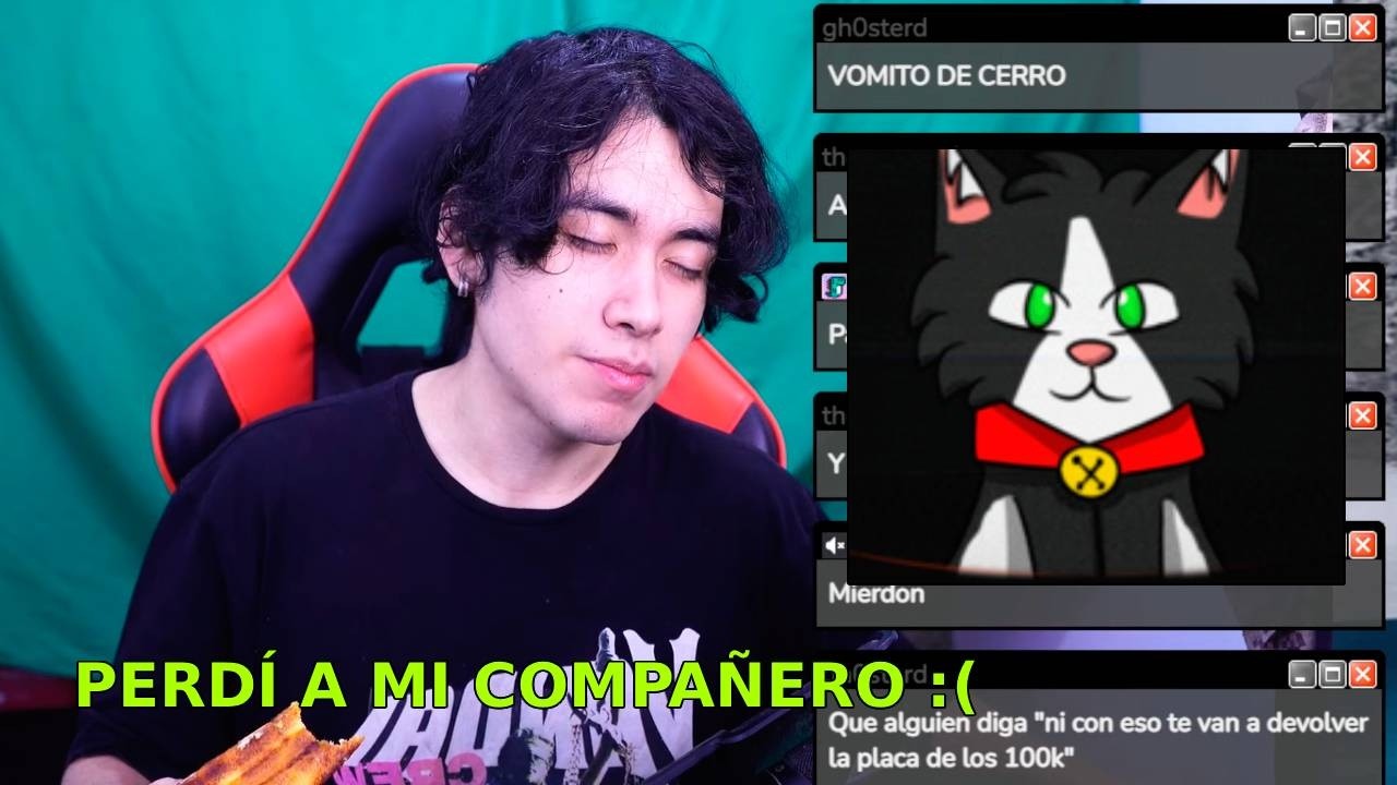 Riczer habla del fallecimiento de gato piola :( y su canal nuevo