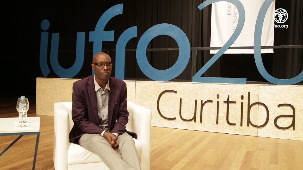 Interview avec Léonidas Nzigiyimpa, gagnant du prix Wangari Maathai 2019