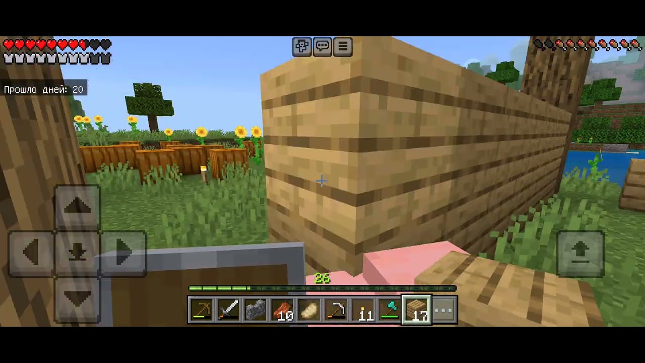  11 Серия minecraft 