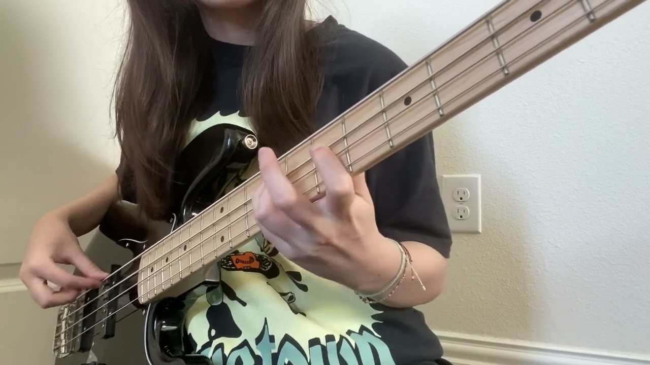 Canary In a Coal Mine || The Crane Wives (Bass Cover)