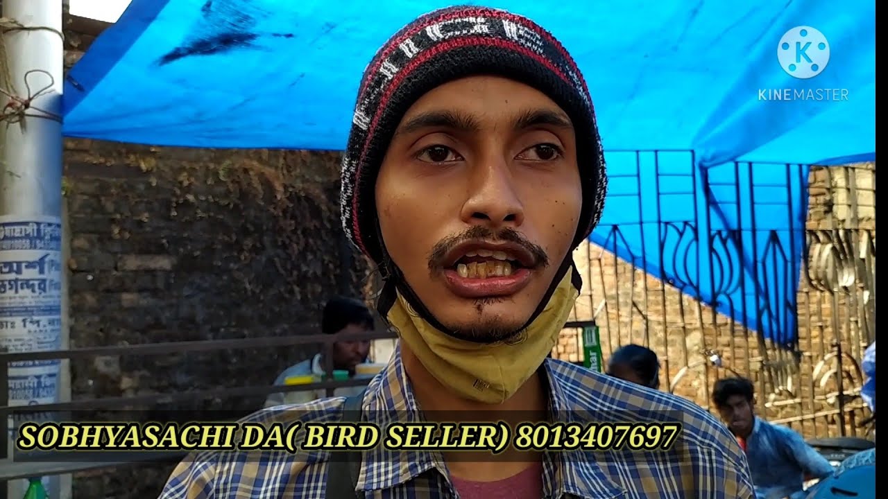 EXOTIC BIRD PRICE UPDATE AT SHYAMBAZAR HAT | CHEAPEST BIRD MARKET IN INDIA | KOLKATA INDIA| 7/1/2021
