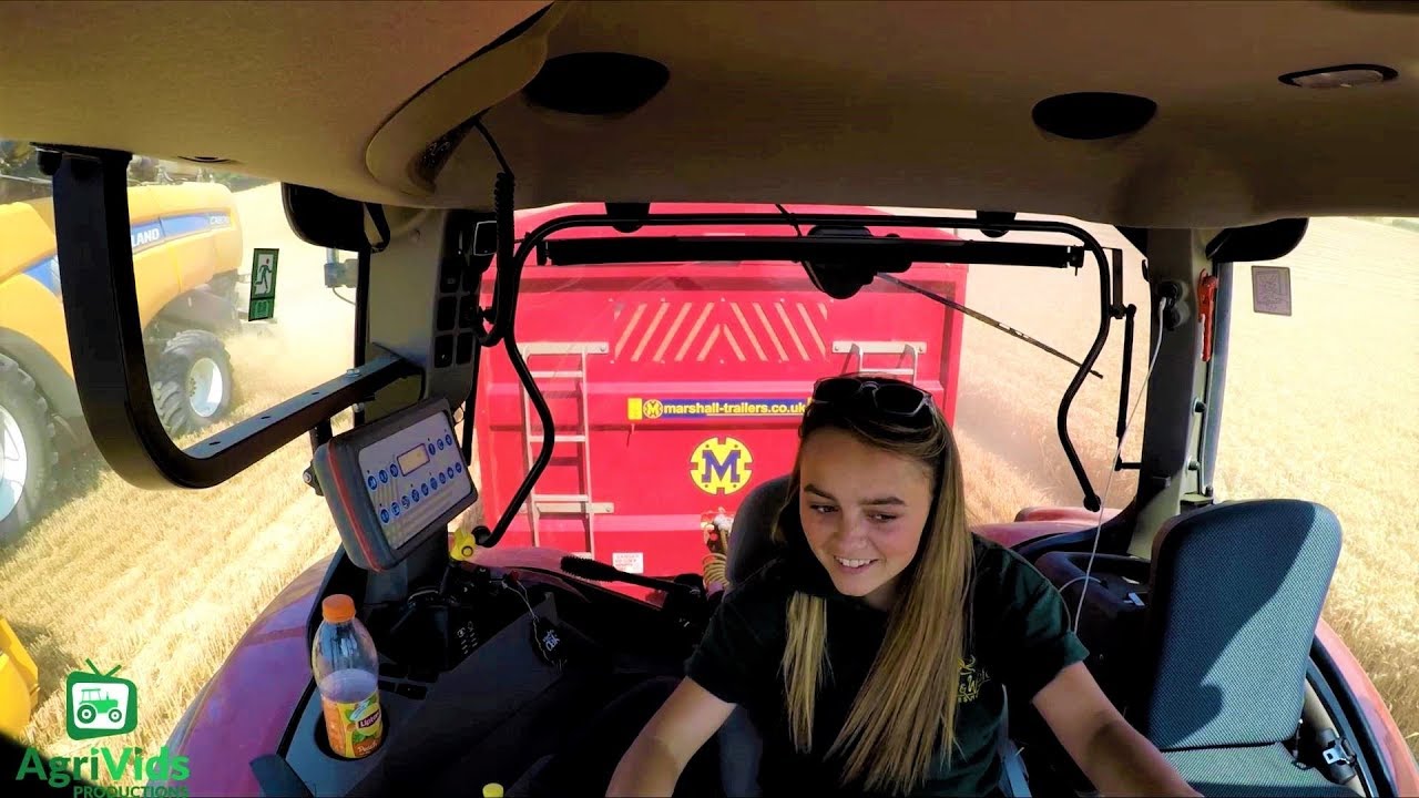 Jazz Hauling Wheat To The Farm