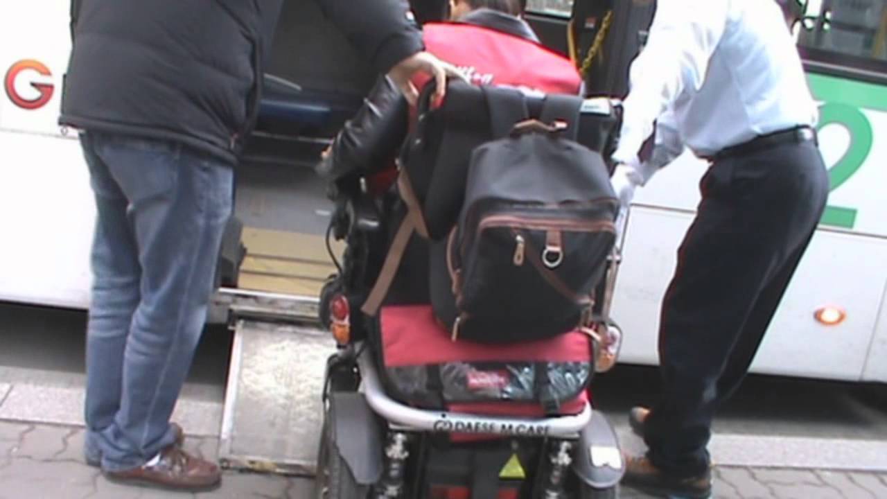 저상버스 마크조사(의정부)